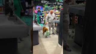 Thumbnail for Dogs STAND UP Against Rudeness and It's EPIC! #shorts