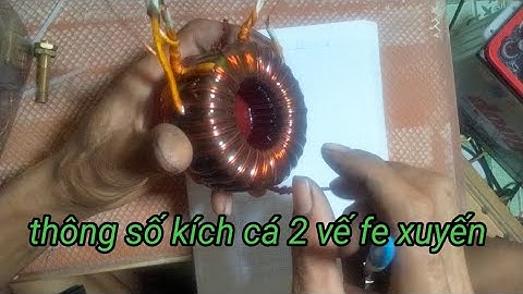 chia sẻ thông số kích cá 2 vế fe xuyến từ 18d đến 22d