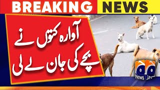 12-year-old killed in Rahim Yar Khan stray dog attack