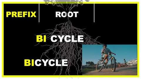 Episode 20:  Prefixes & Suffixes