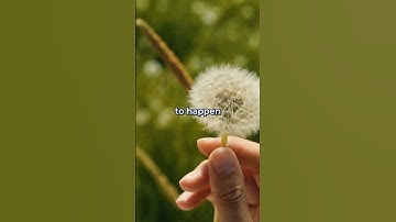 Prevent Weeds Naturally