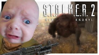 Why Stalker 2 Is Terrifying As A Noob!