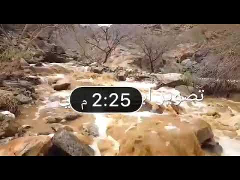 قلت أرحب أرحب شيله 