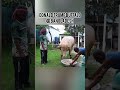 বাংলাদেশের ডোনাল্ড ট্রাম্প মহিষ | Donald Trump Buffalo in Bangladesh  #foryou #short #viralvideo