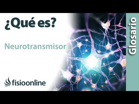Video: ¿En qué orden tiene lugar la neurotransmisión?
