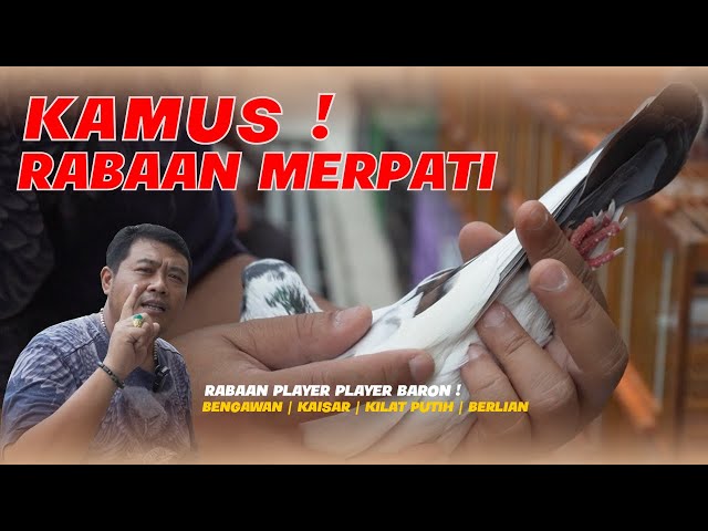 KAMUS RABAAN MERPATI | RABAAN PLAYER PLAYER BARON 🔥 class=