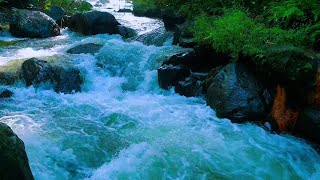 Relaxing River Sound Guaranteed your stress will disappear and your sleep will become soundly