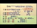 第38回有馬記念・レース回顧（トウカイテイオー）