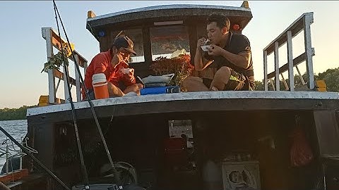 Câu Cá, Bắt Cá Tươi Nấu Ăn Trên Sông Vàm Sát Cần Giờ.