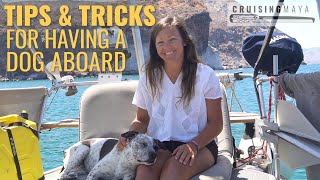 How To Have a Dog On a Boat  WE SHARE OUR TOP TIPS