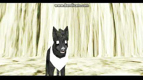 Feral Heart - Animals