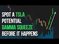 How to Spot a Gamma Squeeze Before it Happens | TSLA Options