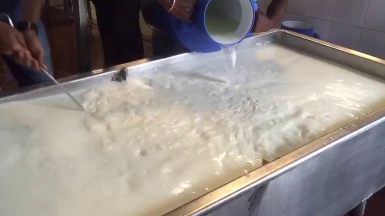 Must Watch Paneer Making Process In Factories In India Youtube