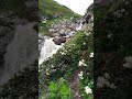 Рододендрон, водопад на озере Донгуз-Орун, 11 июля 2022 г.