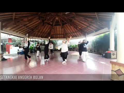 Setangkai Anggrek Bulan