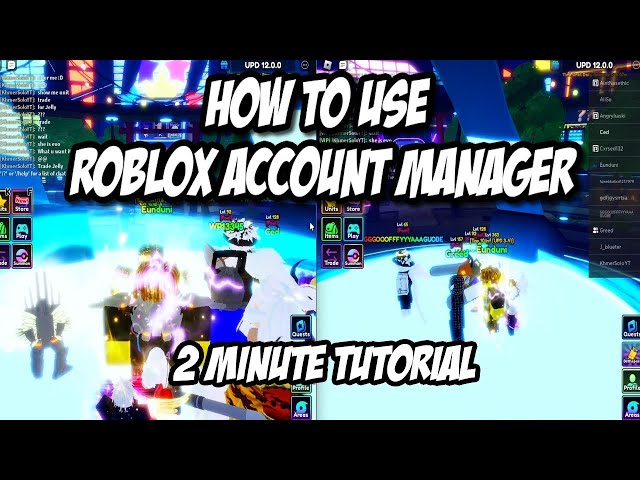 What is Roblox Account Manager: Explained 