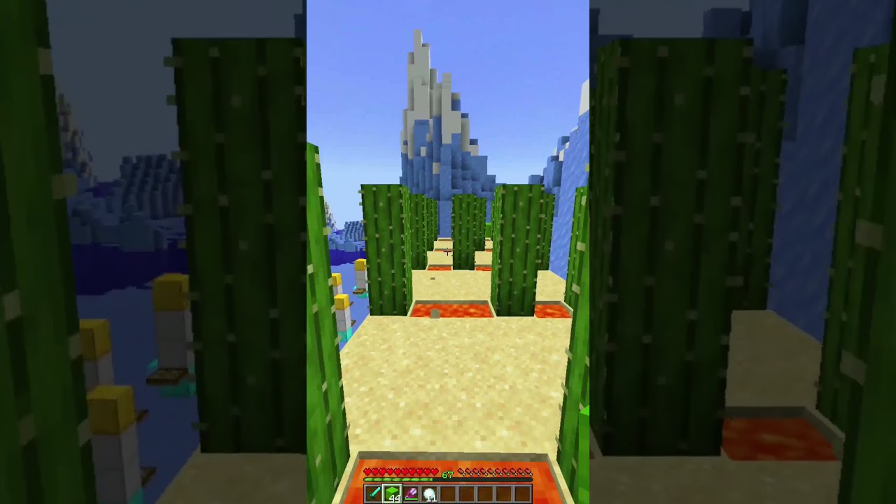 Minecraft Polar Bear Chase! 