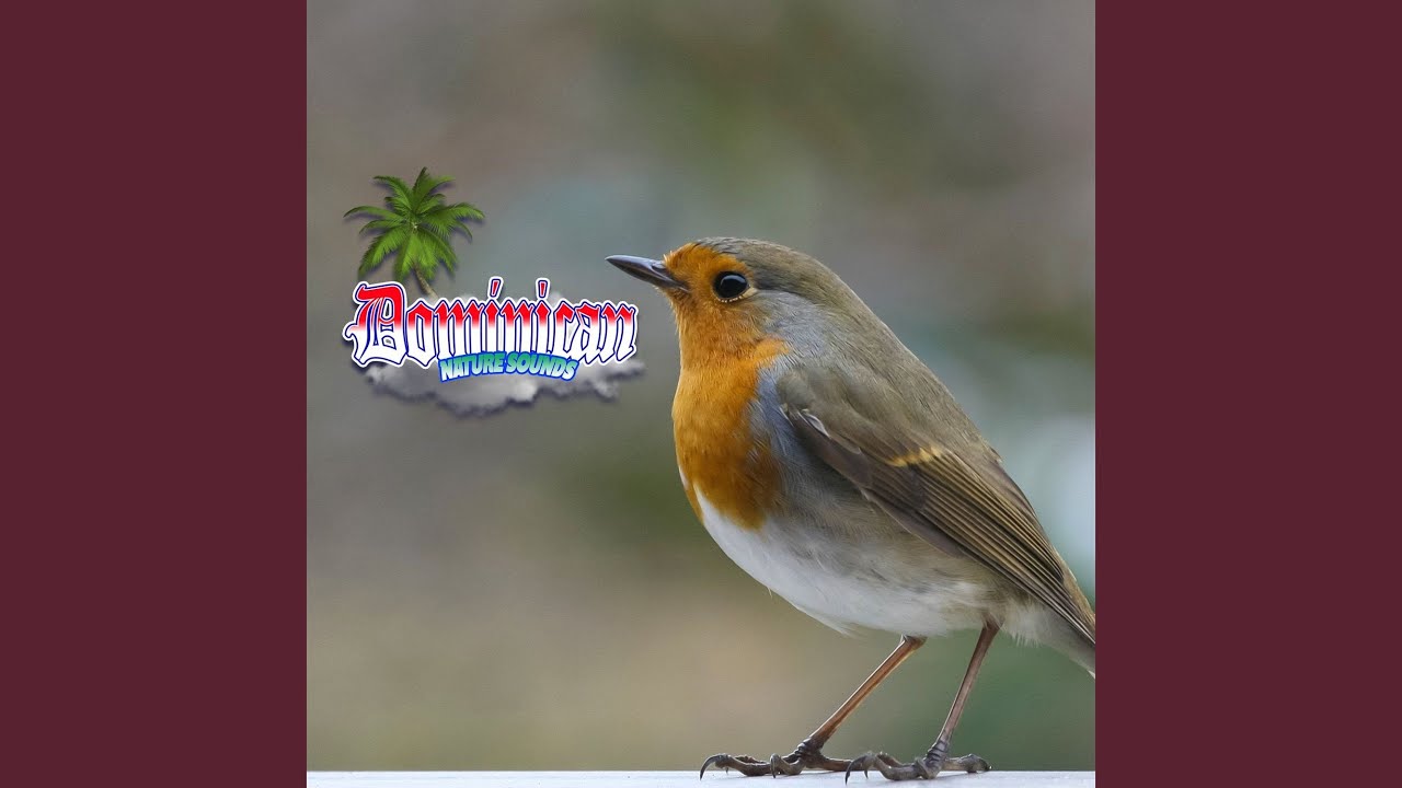 Harmonic Flamingo Serenade: a Graceful Symphony of Pink Plumage