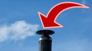 chimney bird trapped