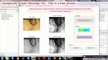 Wood Defects Classification Using GLCM Based Features And PSO Trained Neural Network