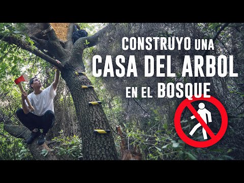 Video: Cómo Dominar Una Cabaña De Verano