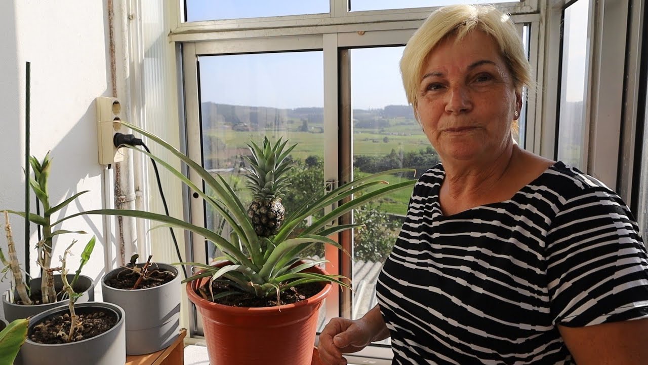 DIA DE DESESPERO NA QUINTA