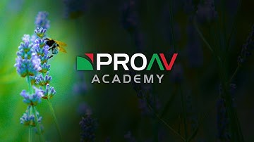 What is Gamma? | Tech Terms with Alister Chapman | ProAV Academy