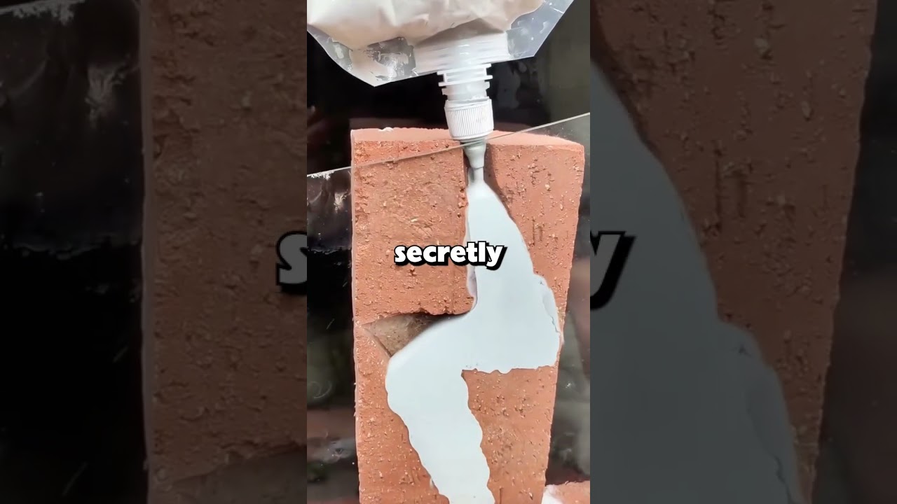 What toxic family tradition did you break that cost you everything?