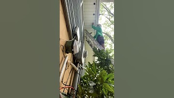 Adding 💪 Soffit Holes & Baffles for Attic Ventilation