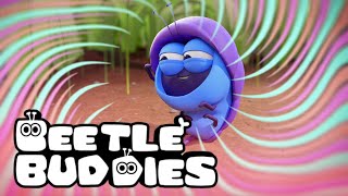 BEETLE BUDDIES in "Bugs 4 Gold"... and more! | Cartoon Compilation for Kids