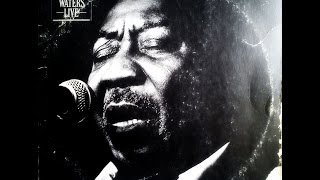 MUDDY WATERS - Muddy 