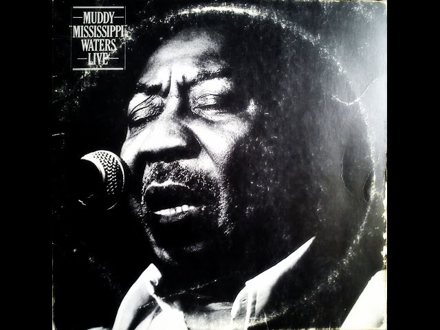 MUDDY WATERS - Muddy 