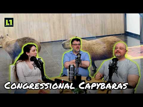 The Level1 Links with Friends Show August 14 2026: Congressional Capybaras