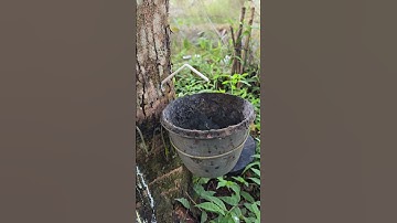 nhiều bác cứ phồng mang trợn mắt gân cổ lên nói cắm ống ngang mủ không chảy được.