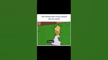 Software tester with production bug