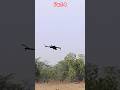 Drone Flying Test // Drone Flying part 4 #shorts