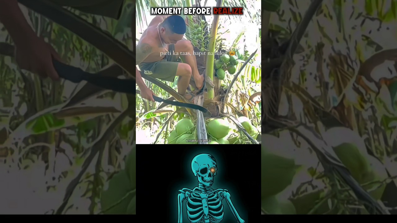 #aestheic