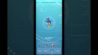 Catching new pokémon Blipbug #pokemon #catch #blipbug