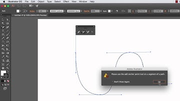 DART 100 Illustrator Section: The Pen Tool