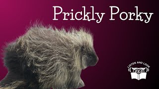 Burgess Animal Book Chapter 11: A Fellow With a Thousand Spears