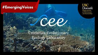 Coral Plasticity at CEE Lab