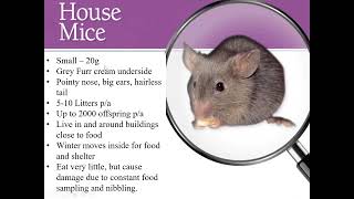 Integrated Pest Management Introductory Course