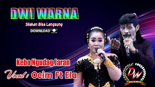 Download Lagu Ocim Ft Ela Pesek Kebo Ngudag Jaran Dwi Warna MP3
