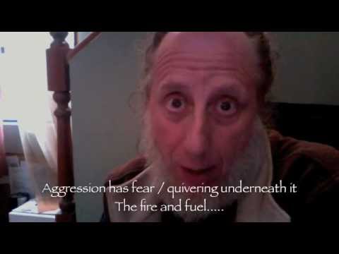 aggression has fear