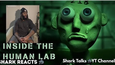 WEIRD CLAYMATION (Inside The Human Lab Reaction)