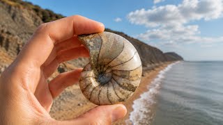Unearthing Ancient Secrets: Lucky Fossil Finds!