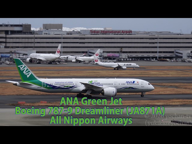 ANA Green Jet