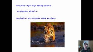 Neural Cognitive Learning - 2 perception