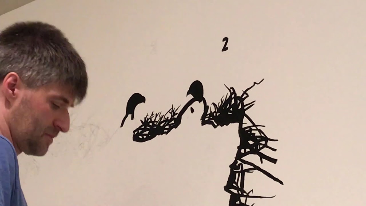 James Prosek installation at the Florence Griswold Museum May 2019