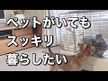 ペットが居てもスッキリ暮らしたい/整理収納アドバイザー/うさぎ/チワックス/ペット用品の収納